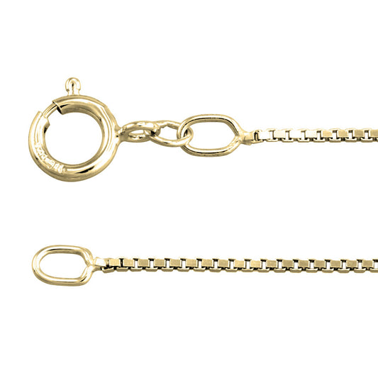 10K Yellow Gold 0.80mm Box Chain (22")