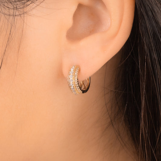 Diamond Hoop Earrings in 10K Yellow Gold (0.50 ct tw)