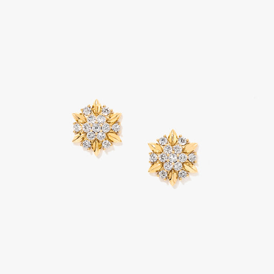 Diamond Star Earrings in 10K Yellow and White Gold (0.13 ct tw)